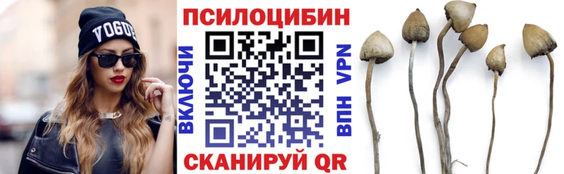 купить   Баксан  Галлюциногенные грибы MAGIC MUSHROOMS 